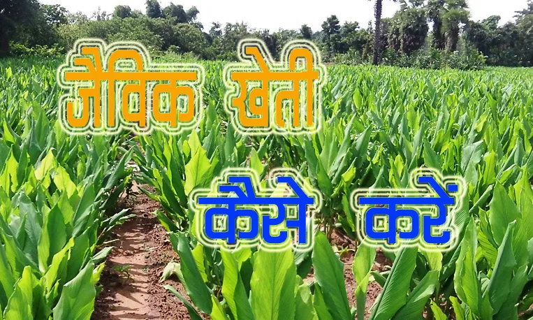 Organic Farming in Hindi