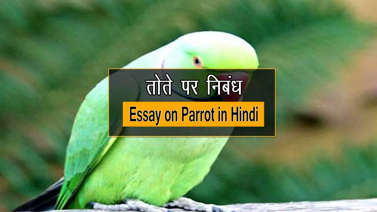 Essay on Parrot in Hindi