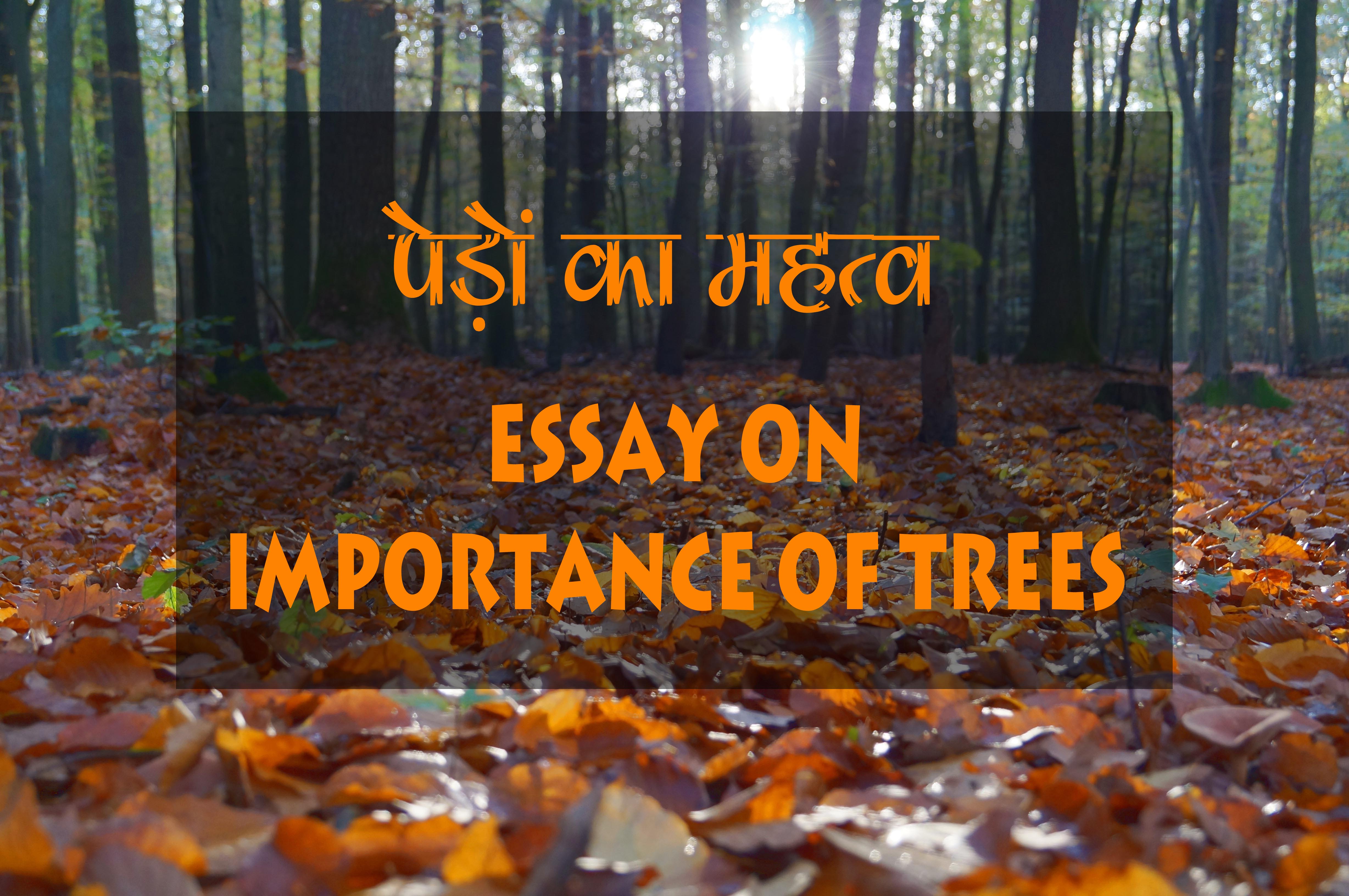 information about trees essay in hindi