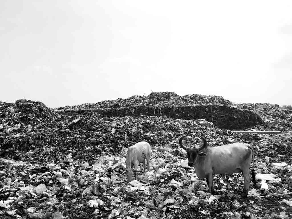 plastic-pollution