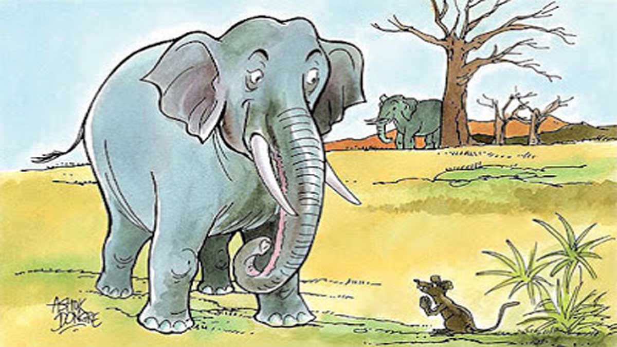 Elephants and King of Mice Story In Hindi