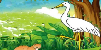 Foolish Crane And The Mongoose Story In Hindi