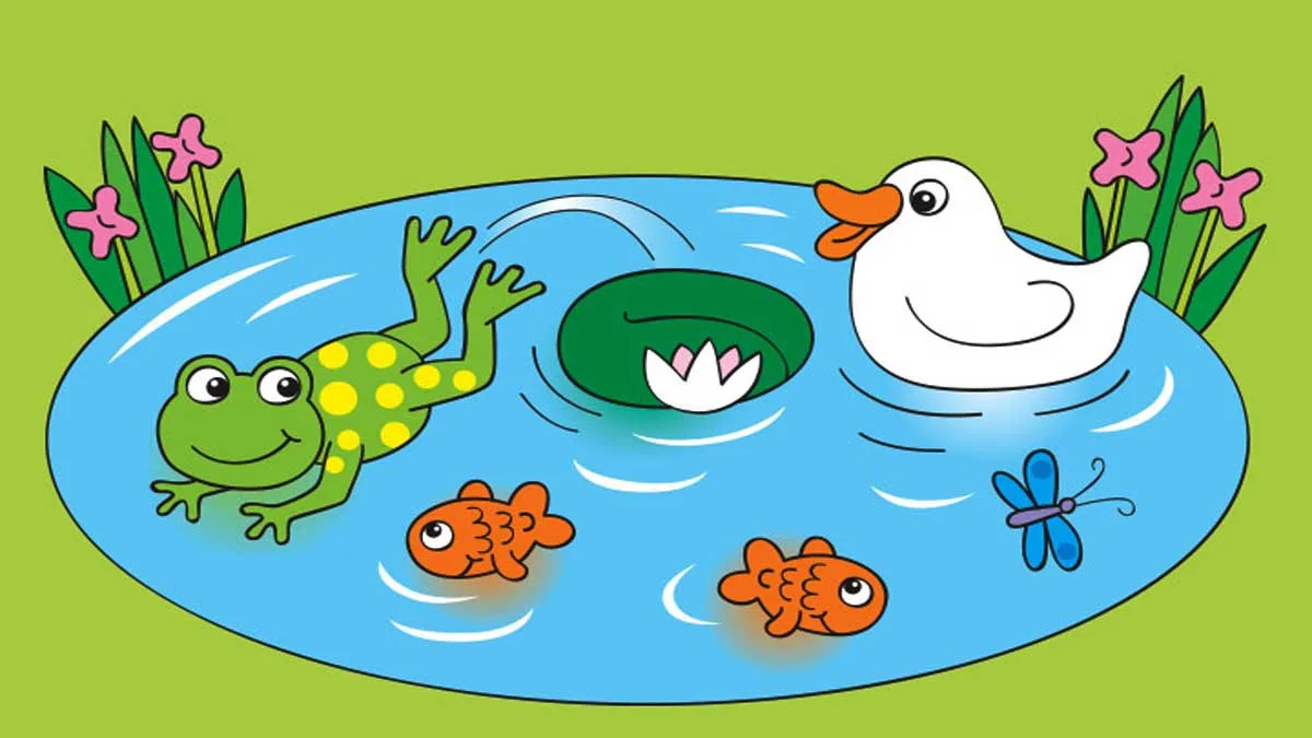 The Tale of Two Fishes and A Frog Story In Hindi