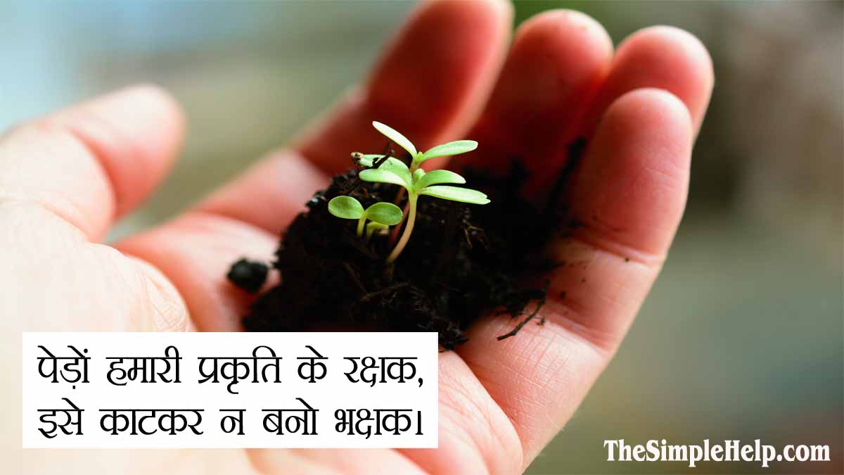 Best Slogans on Save Trees in Hindi