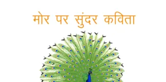 poem on peacock in hindi