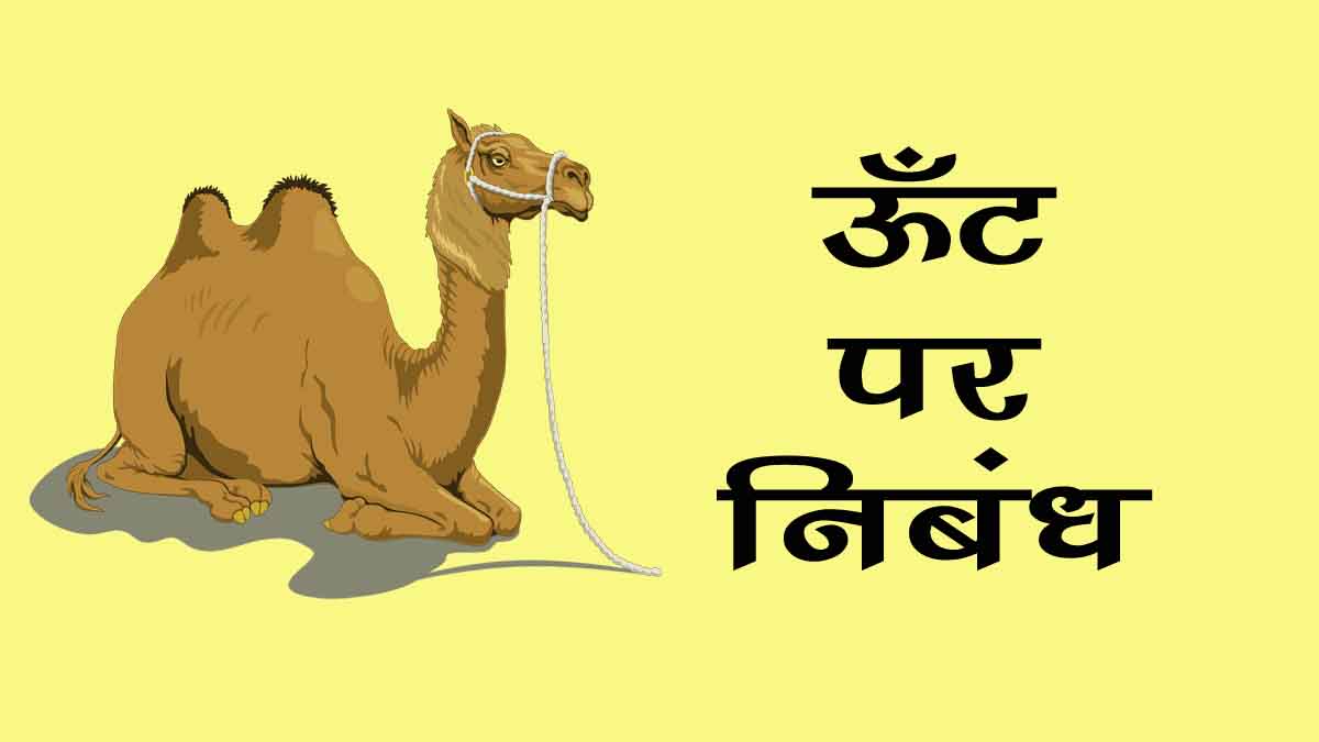 Essay on Camel in Hindi