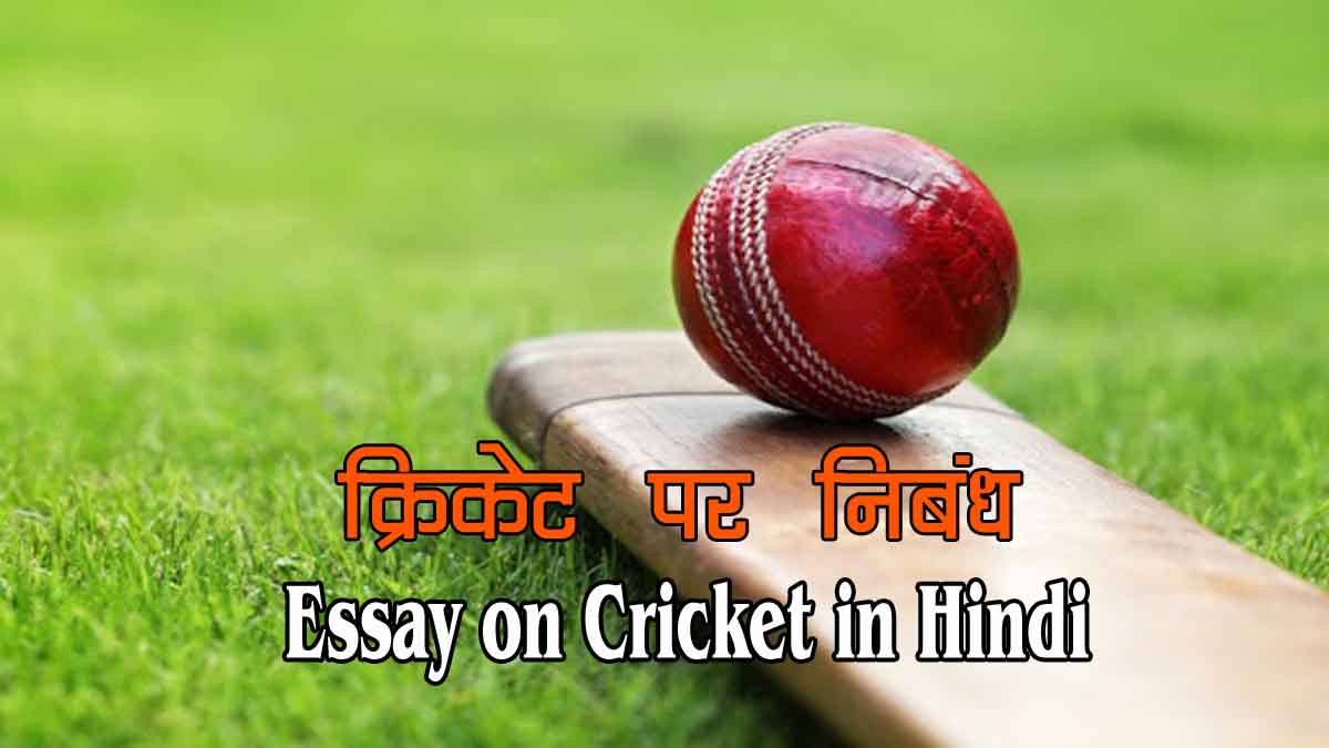 essay on cricket in hindi