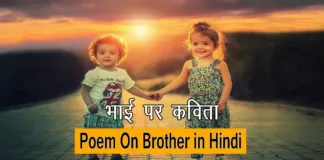 Poem On Brother in Hindi