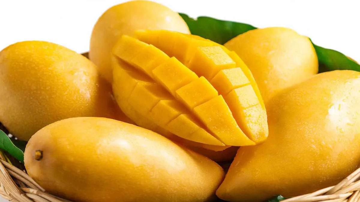 10 Lines on Mango in Hindi