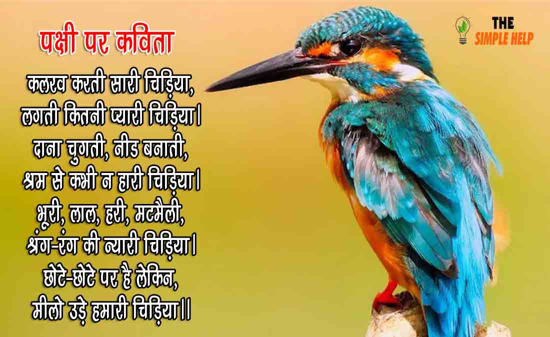 Birds Poems in Hindi