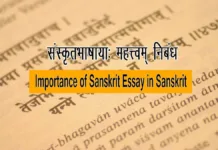 Importance of Sanskrit Language in Sanskrit