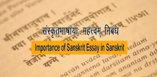 Importance of Sanskrit Language in Sanskrit