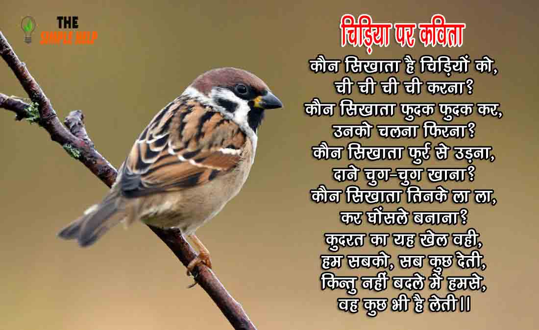 Poem On Birds In Hindi