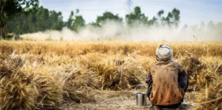 Slogans On Farmer in Hindi