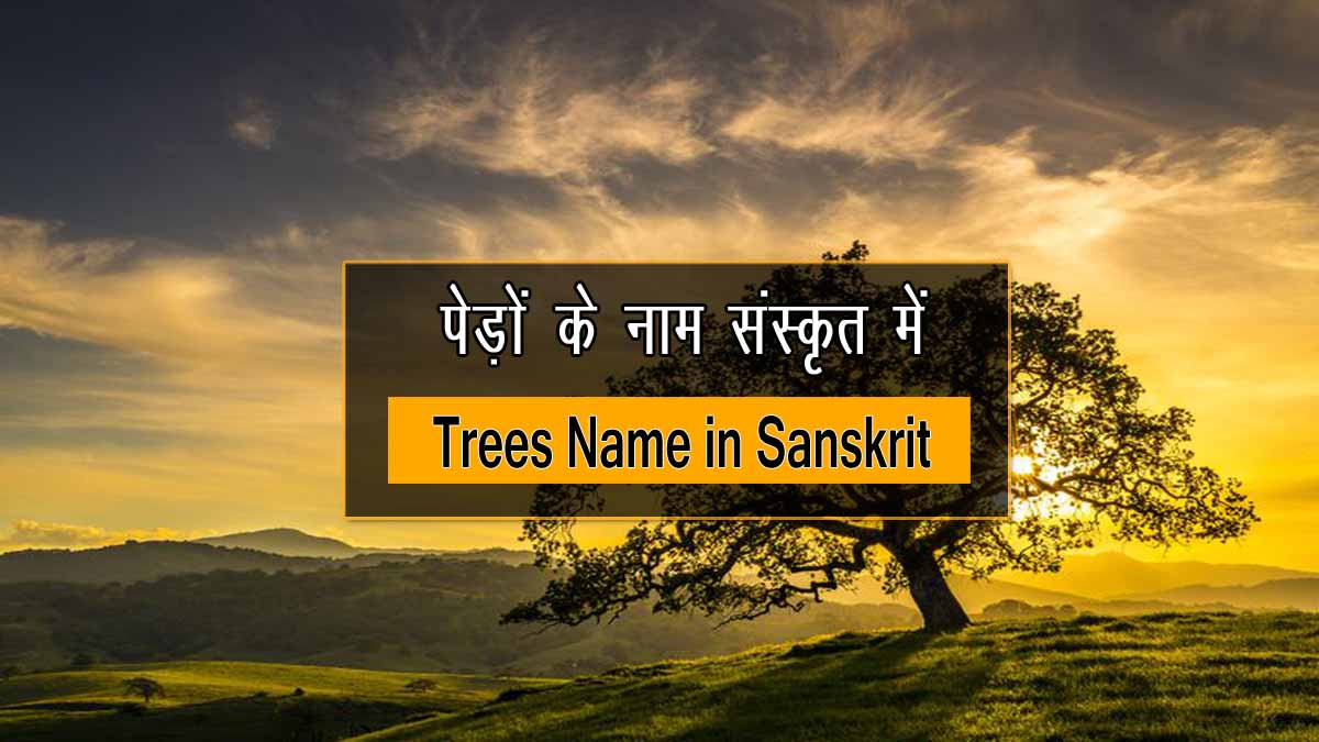 Trees Name in Sanskrit