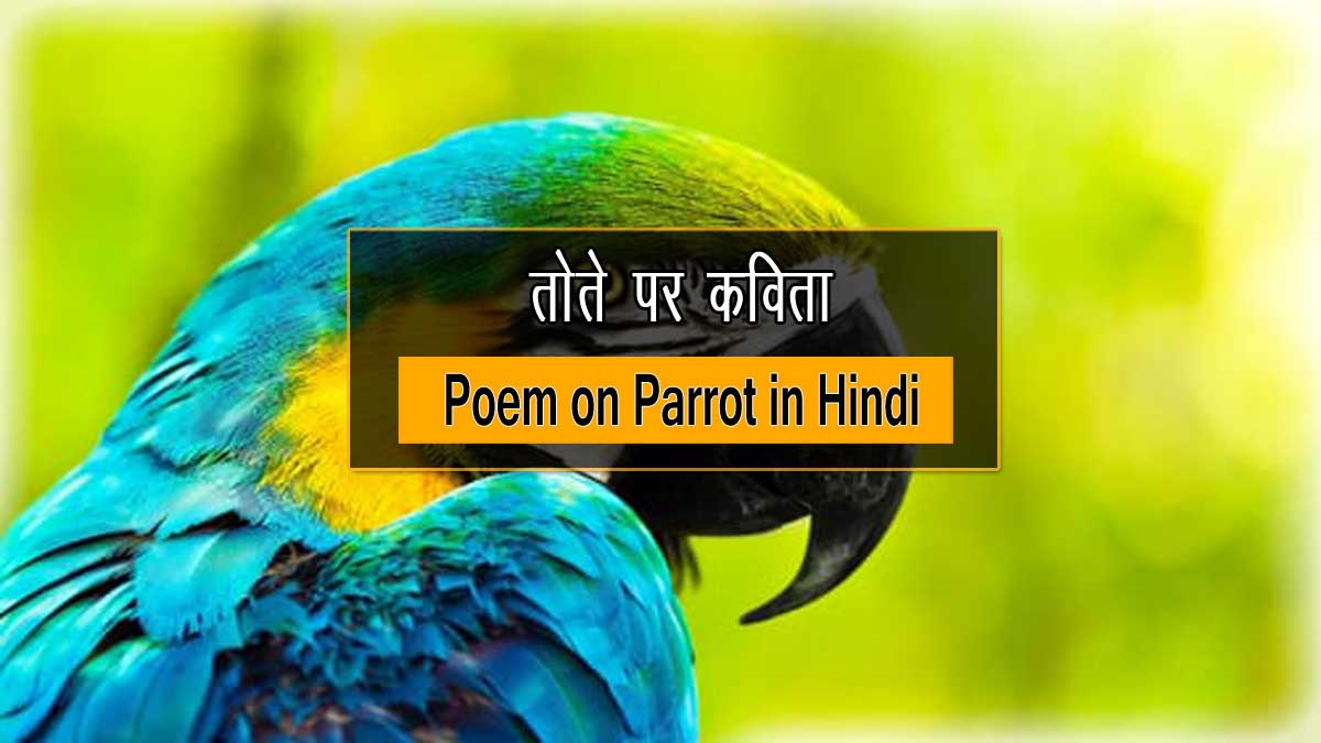 तोते पर कविता (Poem on Parrot in Hindi) - The SimpleHelp