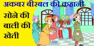 Sone ki bali ki kheti