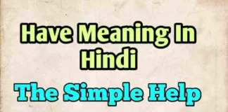 Have Meaning In Hindi