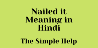 Nailed it Meaning in Hindi