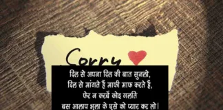 Sorry Shayari in Hindi