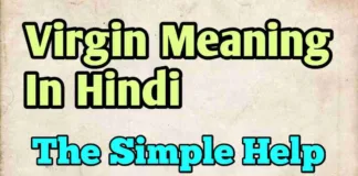 Virgin Meaning In Hindi