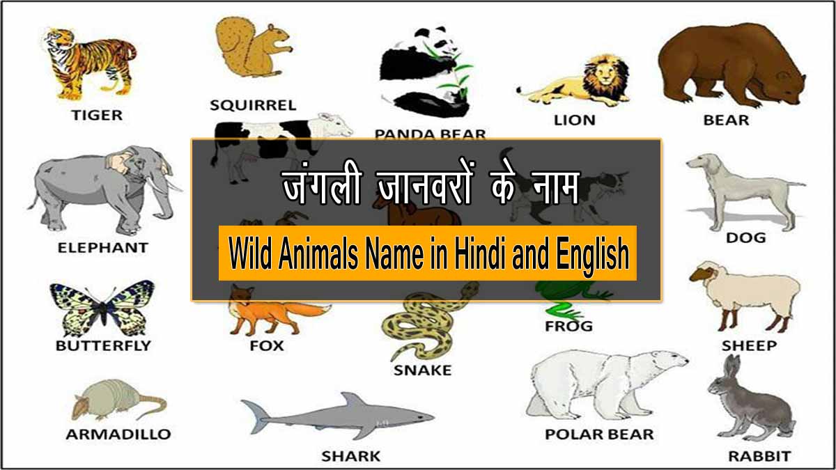 25+ जंगली जानवरों के नाम   Name Of Wild Animals ...