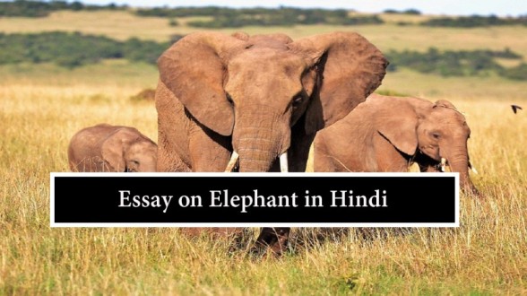 elephant simple essay in hindi