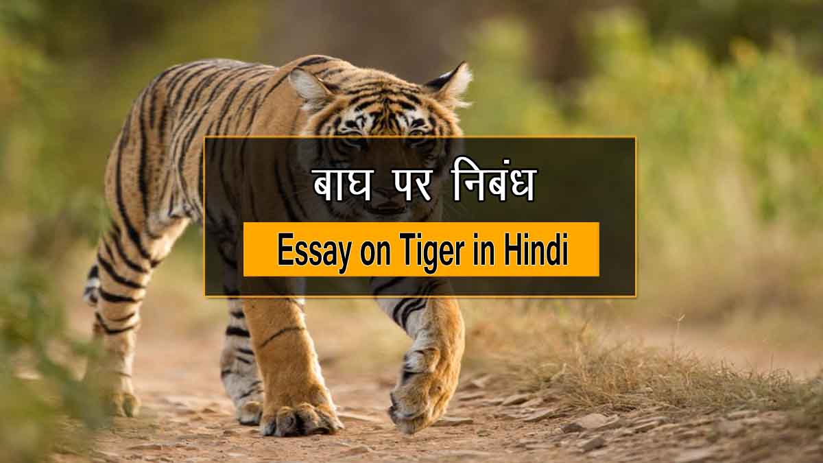 essay about tiger in hindi
