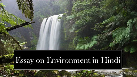 Essay-on-environment-in-Hindi