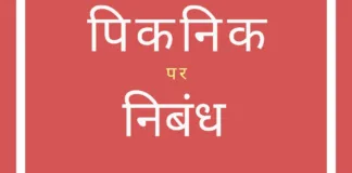 Essay on Picnic in Hindi