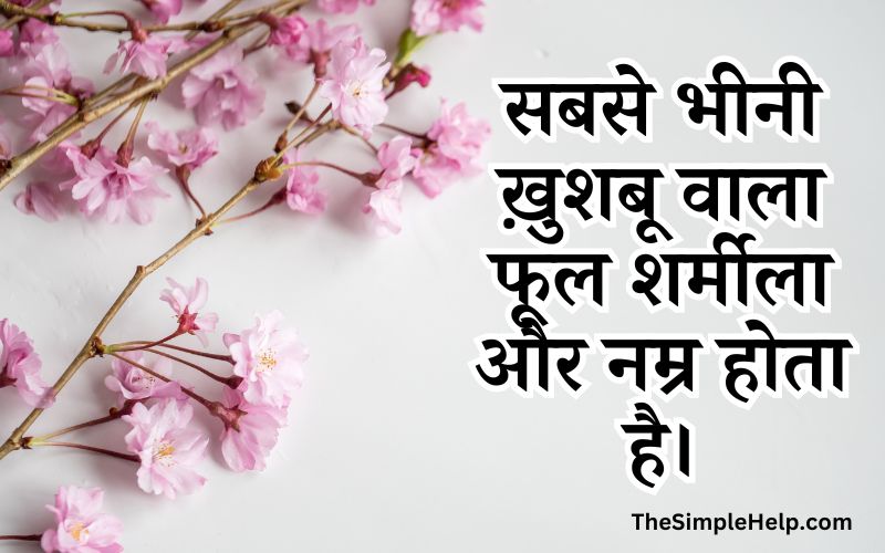 Flower Quotes in Hindi