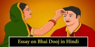 Essay-on-Bhai-Dooj-in-Hindi