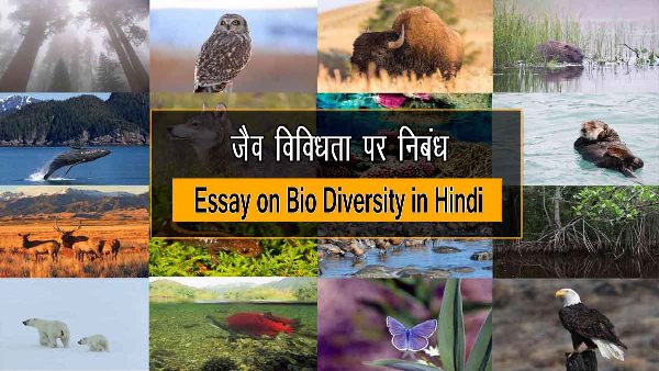 Essay on Bio Diversity in Hindi