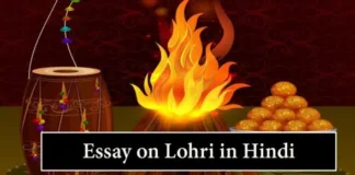 Essay-on-Lohri-in-Hindi