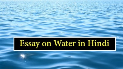 what is water in hindi essay