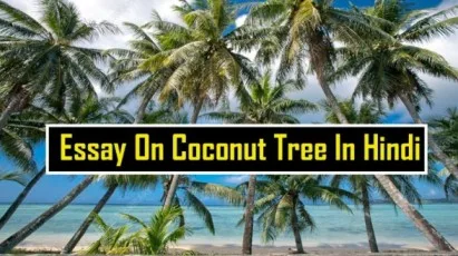 Essay-On-Coconut-Tree-In-Hindi-