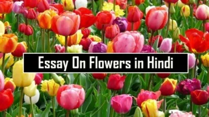 Essay-On-Flowers-in-Hindi-