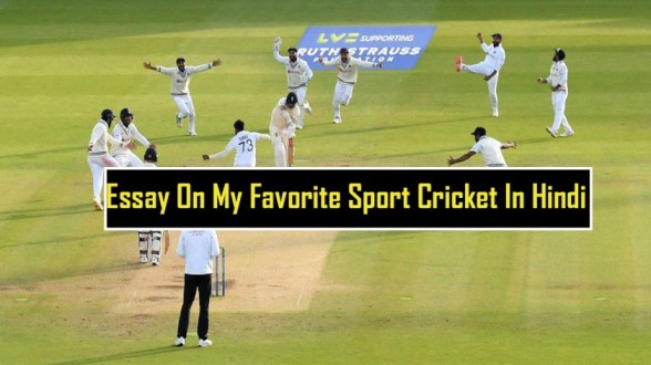 my favorite sport cricket essay in hindi