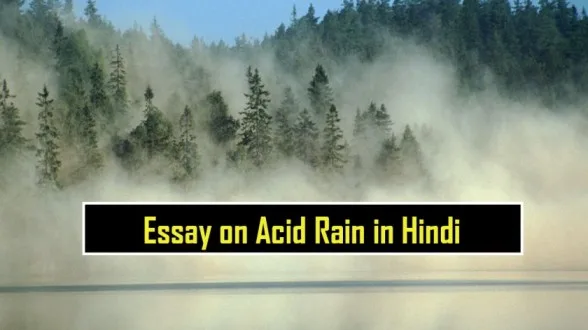 Essay on Acid Rain in Hindi