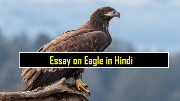 eagle essay on hindi