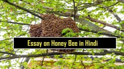 Essay-on-Honey-Bee-in-Hindi