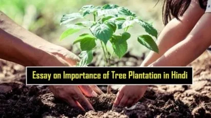 Essay-on-Importance-of-Tree-Plantation-in-Hindi-