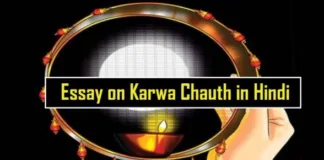 Essay-on-Karwa-Chauth-in-Hindi