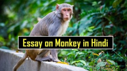 Essay on Monkey in Hindi