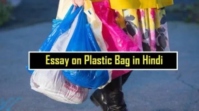 Essay-on-Plastic-Bag-in-Hindi-