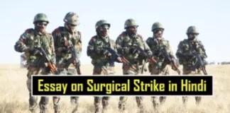 Essay-on-Surgical-Strike-in-Hindi