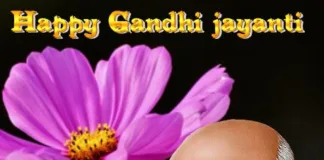 Mahatma Gandhi Status in Hindi