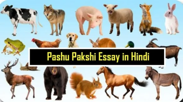 Pashu Pakshi Essay in Hindi