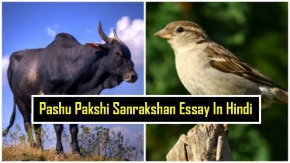Pashu-Pakshi-Sanrakshan-Essay-In-Hindi