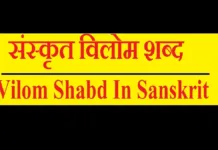 Vilom Shabd In Sanskrit